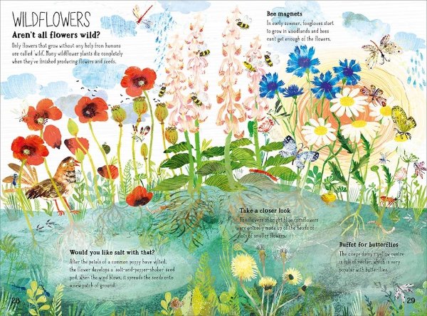Big Book of Blooms (The Big Book Series)