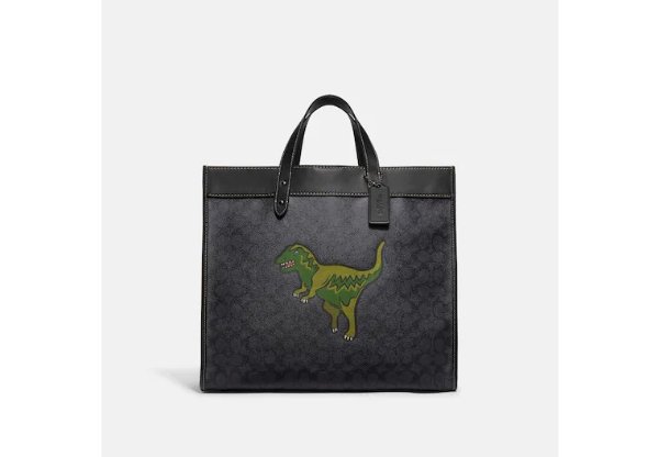 Field Tote 40 In Signature Canvas With Rexy