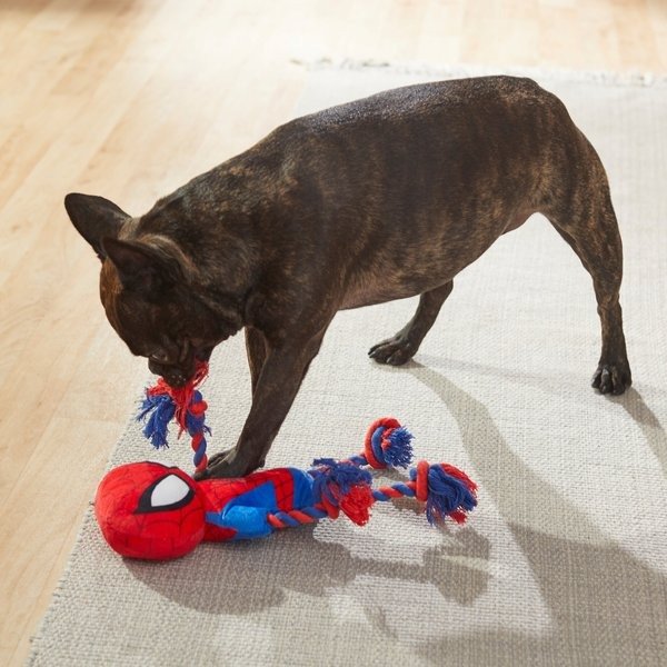 's Spider-Man Plush with Rope Squeaky Dog Toy