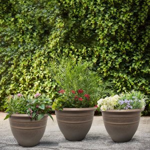 Costco Lawn Care & Gardening Supplies