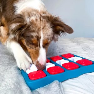 Petco 精选狗狗益智类互动玩具促销，收自动发球器，狗狗拼图等