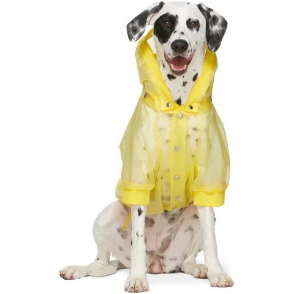 黄色透明狗狗防水外套