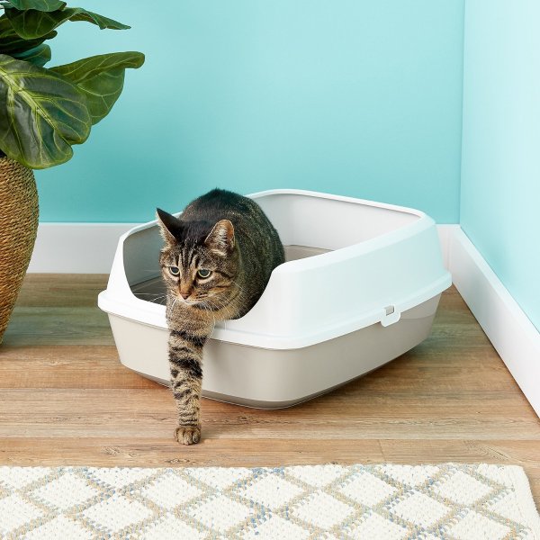Open Top Cat Litter Box With Rim, Navy, Large 19-in - Chewy.com