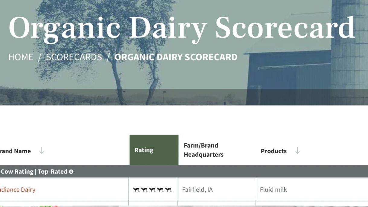 2023年 各品牌牛奶评分排名 谁品质好？谁味道好？怎么选？