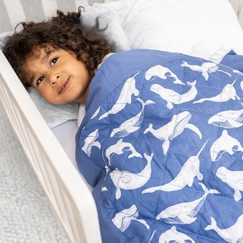 toddler-bed weighted blanket 2.65 lbs