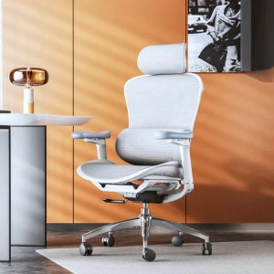 Dealmoon Exclusive: SIHOO select Ergonomic Office Chair on sale
