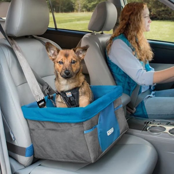 Heather Booster Charcoal/Blue Car Seat for Dogs, 13" L X 16" W X 9" H | Petco