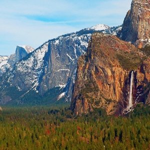 Yosemite's Enchanted Forest度假屋 2或3晚入住套餐