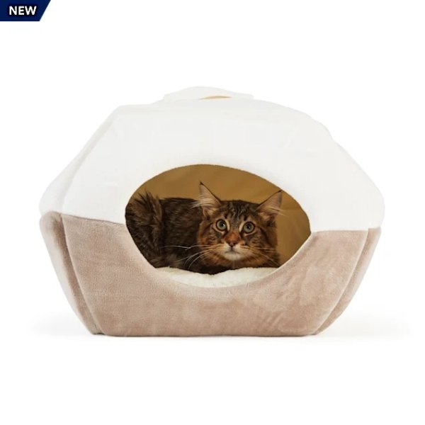 EveryYay Snooze Fest 2 in 1 Novelty Pyramid Convertible Cat Bed, 16" L X 16" W | Petco