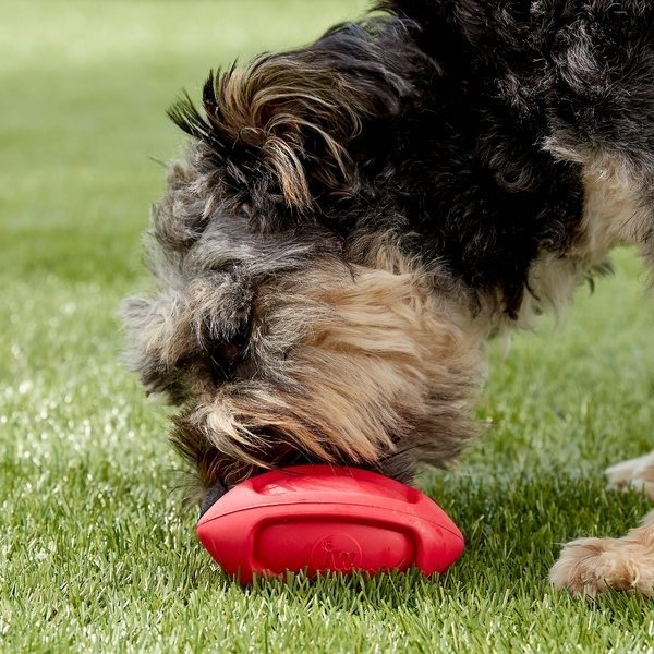 JW PET 狗狗橄榄球玩具
