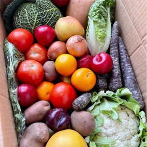 ODDBOX 新鲜水果蔬菜盲盒首单惊喜半价 省钱小妙招get