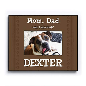 Petco Personalized Pet Gifts on Sale