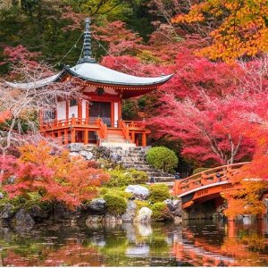 8-Day Japan Guided Tour with Hotels and Air from Intertrips