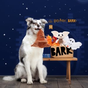 订阅$25/月 每月再送1个玩具BarkBox & Super Chewy Harry Potter系列狗狗盲盒