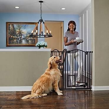 Extra-Tall Archived Hands Free Pet Gate, 29"-43.5" W x 38.5" H | Petco