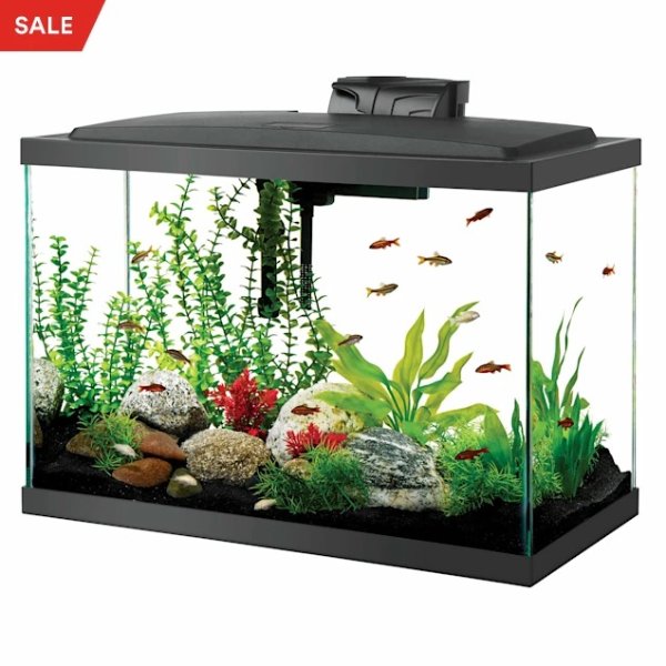 Aqueon Standard Glass Aquarium Tank 20 Gallon High | Petco | 20 Gallon Fish Tank Dimensions, 20 Gallon High Tank, 20 Gallon Aquarium Dimensions