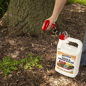 Spectracide Weed & Grass Killer 1 Gallon