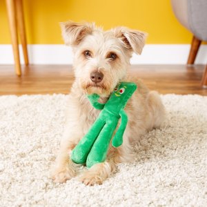 Multipet Gumby Plush Filled Dog Toy, 9-Inch