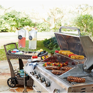 27" Member's Mark Outdoor Gas Grill