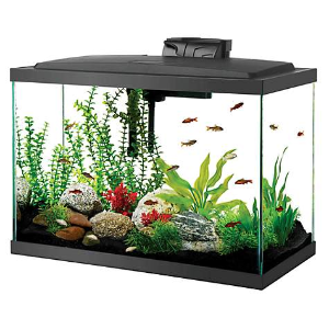 Aqueon Aquarium Tank on Sale