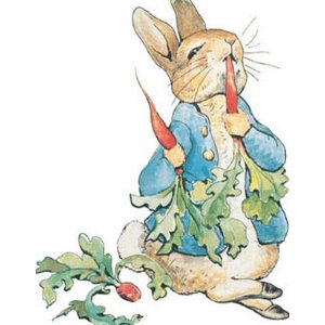 Peter Rabbit Plush @ Amazon.com