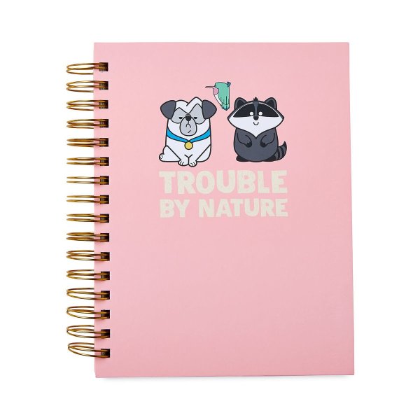 Percy, Flit, and Meeko ''Trouble By Nature'' Journal - Pocahontas