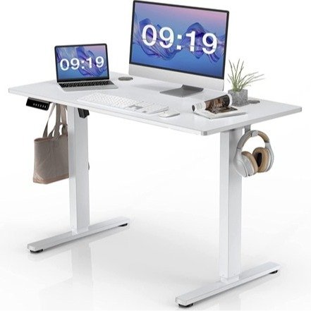 SMUG 48 x 24 in Electric Height Adjustable Computer Desk