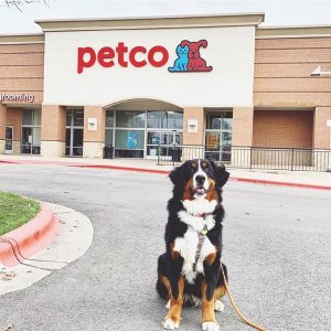 折扣升级：Petco 全场宠物食品、用品、医药品热卖