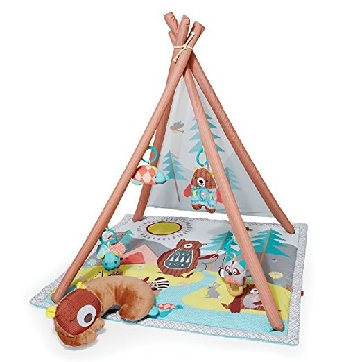 Baby Infant and Toddler Camping Cubs Activity Gym and Playmat, Multi