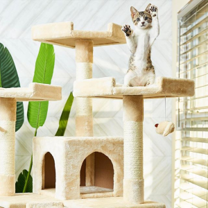 Frisco 精美猫爬树、猫抓柱促销