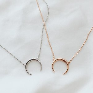 Double Horn Necklace