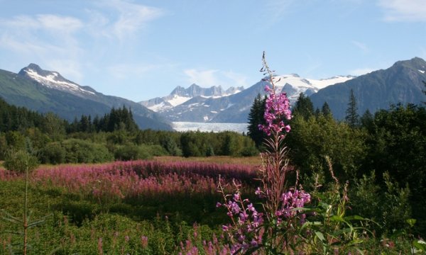 c700x420 (22).jpg
