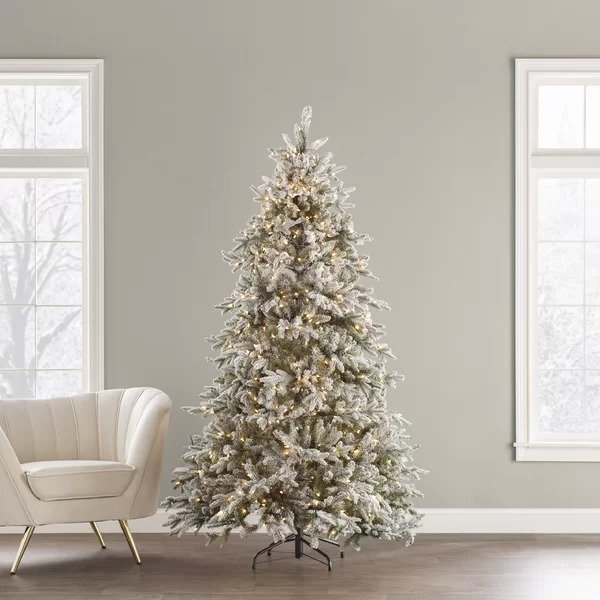 Sierra 7.5' Green/White Spruce Artificial Christmas Tree with 750 Clear/White LightsSierra 7.5' Green/White Spruce Artificial Christmas Tree with 750 Clear/White LightsRatings & ReviewsCustomer PhotosQuestions & AnswersShipping & ReturnsMore to Explore