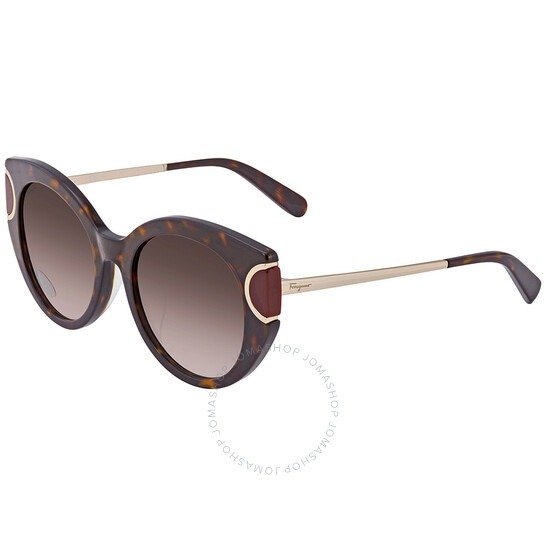 Brown Gradient Oval Ladies Sunglasses SF840SA21454