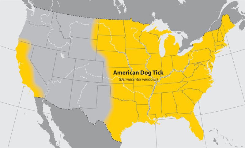 American Dog Tick 美国蜱虫分布图