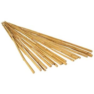 Pack of 25 Bamboo Stake, 3 Foot