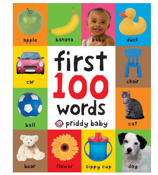 First 100 单词纸板书