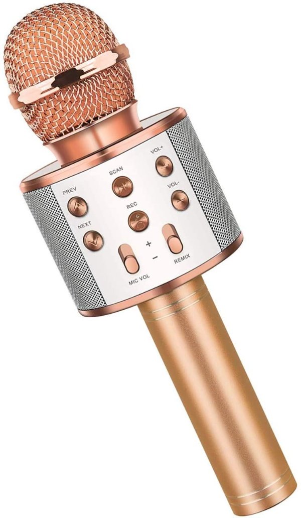 Snoky Karaoke Microphone