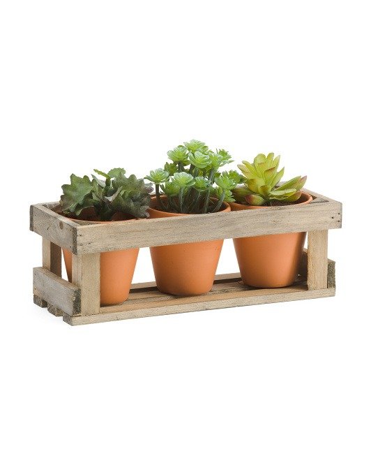 10in Mixed Faux Succulents With Wood Stand