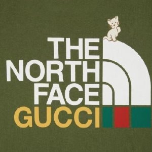 封面猫咪LogoT恤$850手慢无：GUCCI x The North Face 联名系列上新