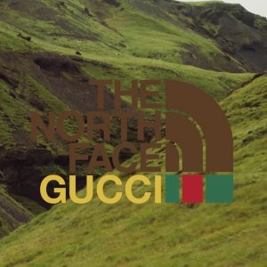 上新：Gucci x The North Face 联名款发售 收羽绒服、刺绣毛衣