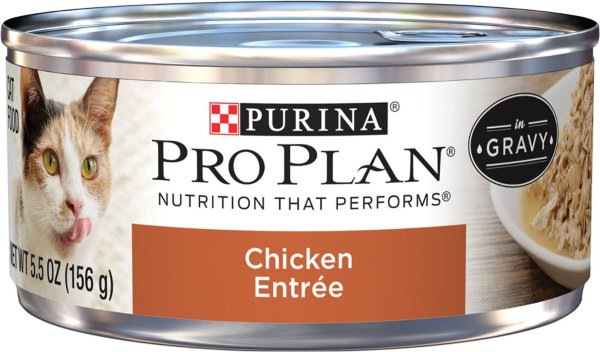 Pro Plan Adult Chicken Entree in Gravy Canned Cat Food, 5.5-oz, case of 24 - Chewy.com