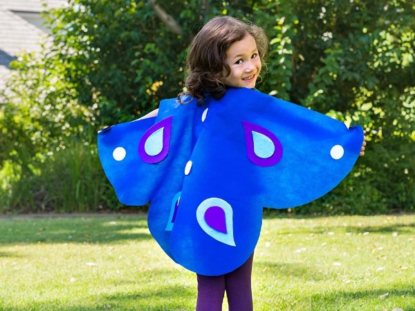 Butterfly Wings Ages 3+