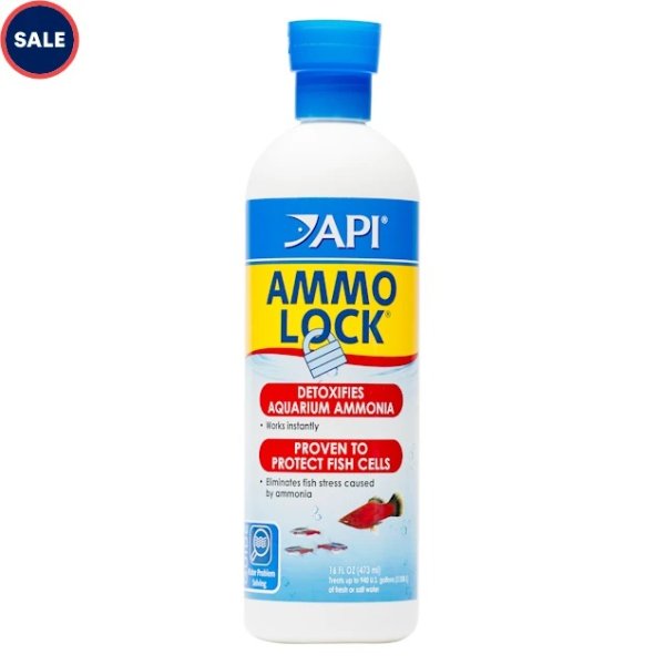 API AMMO-LOCK Freshwater and Saltwater Aquarium Ammonia Detoxifier 16-Ounce Bottle | Petco