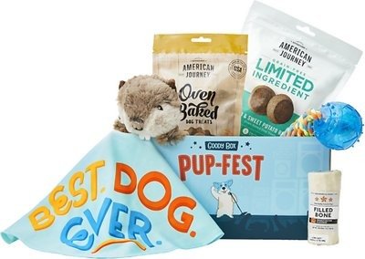 Goody Box Pup-Fest for Dogs, Large Breeds - Chewy.com