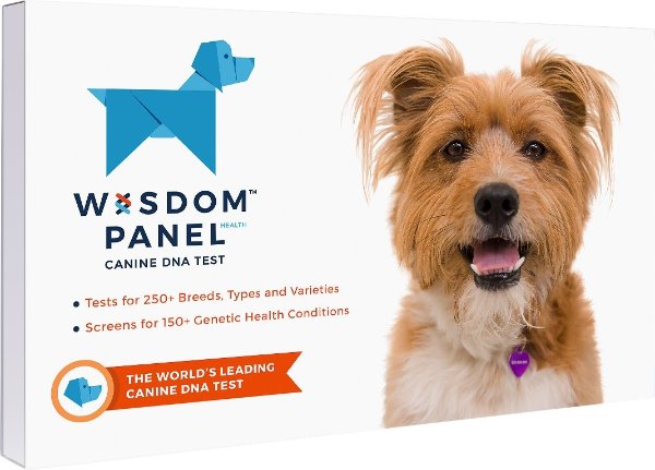 Health Breed & Health Identification Dog DNA Test Kit - Chewy.com