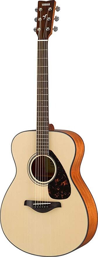 Fs800 Small Body Solid Top Acoustic Guitar, Natural