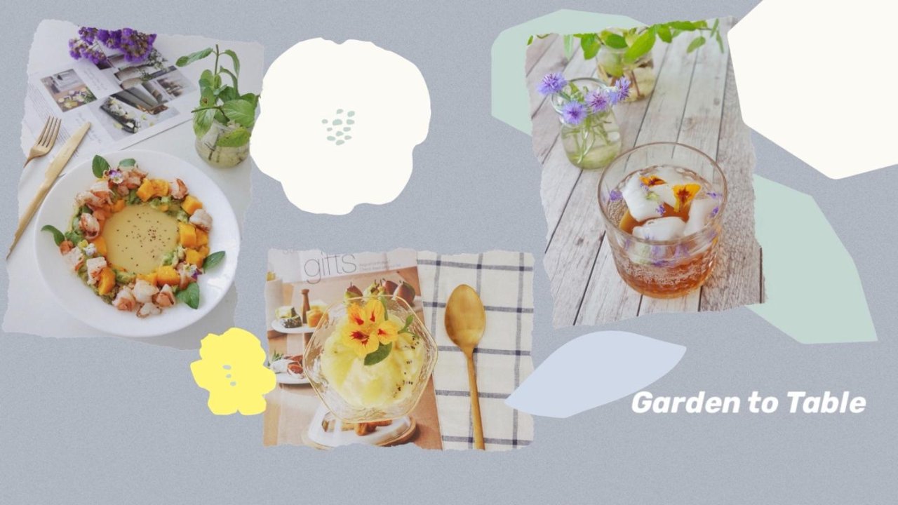 Garden to Table|可食用花装点你的餐桌