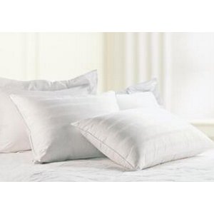 Select Pillows @ Sears.com
