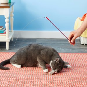 Go Cat Teaser Cat Catcher Wand Cat Toy